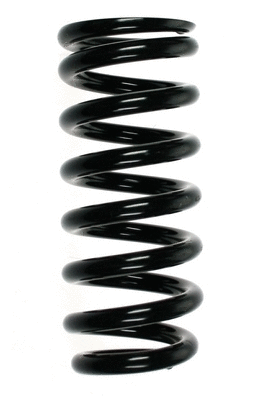 Suspension Spring (55710)
