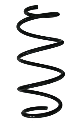 Suspension Spring (88202)