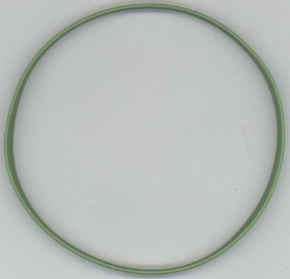 Seal Ring (581.942)