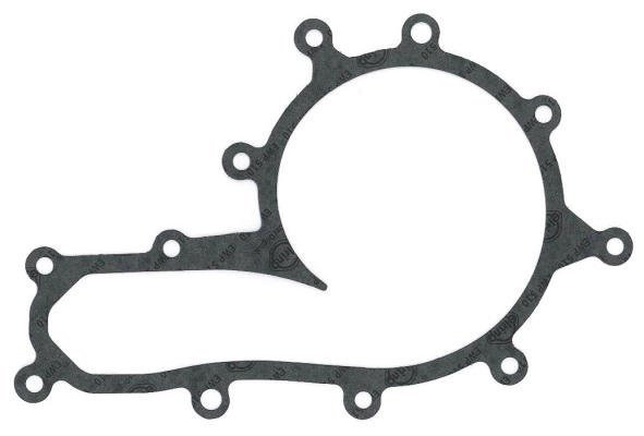 Gasket, water pump (499.550)