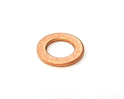 Seal Ring (100.900)