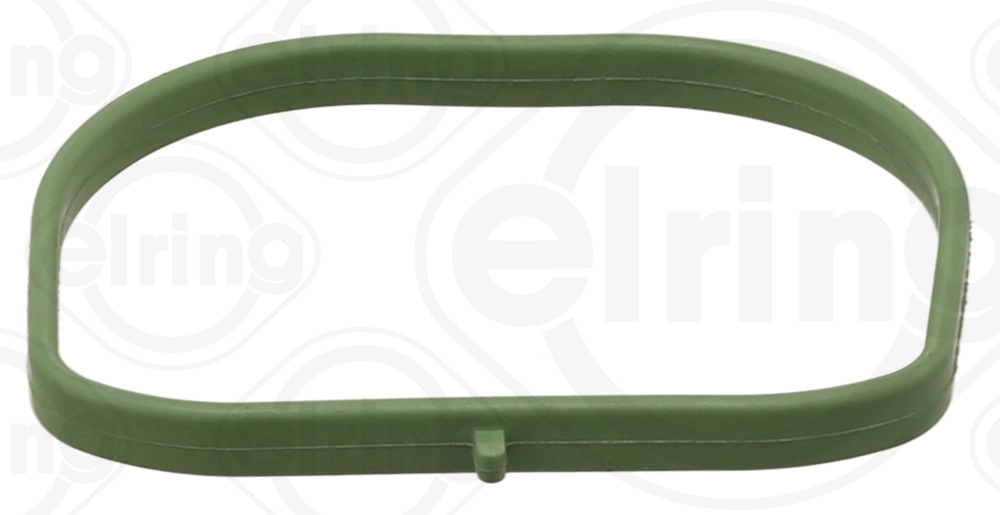 Gasket, intake manifold (874.301)