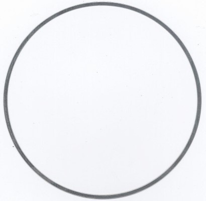 O-Ring, cylinder sleeve (896.455)