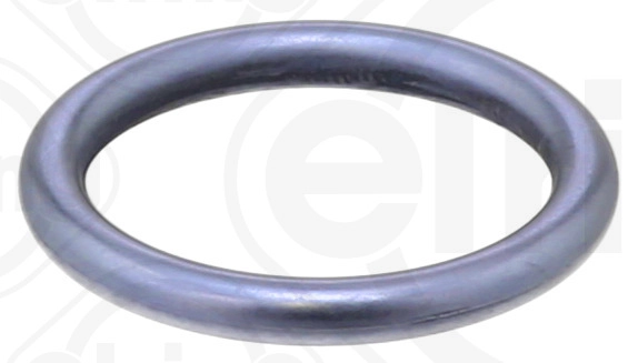 Seal Ring (074.870)