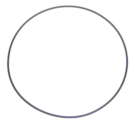 Seal Ring (803.881)