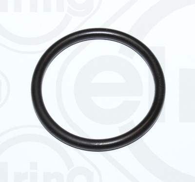 Gasket, coolant flange (027.480)