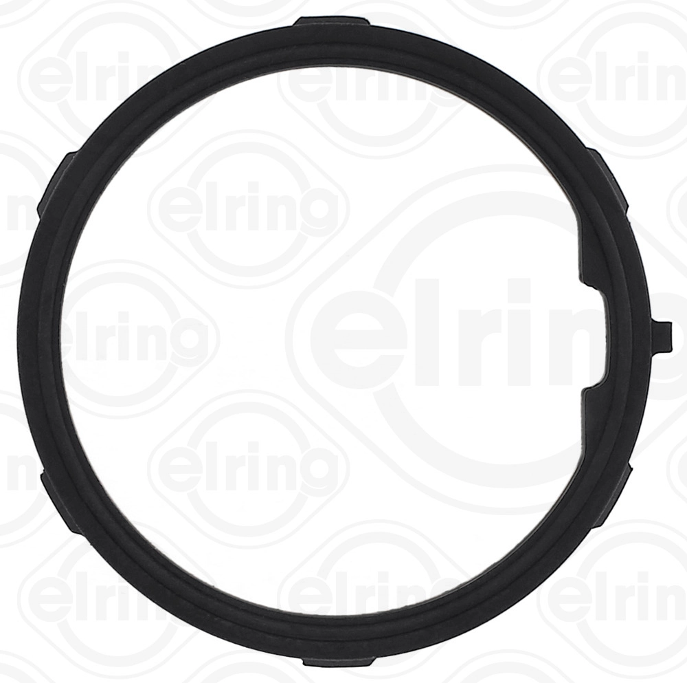 Seal Ring