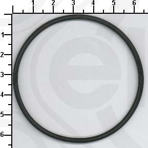 Gasket, intake manifold housing (181.580)