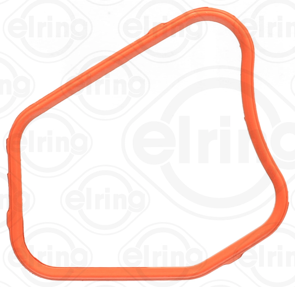 Gasket, thermostat housing