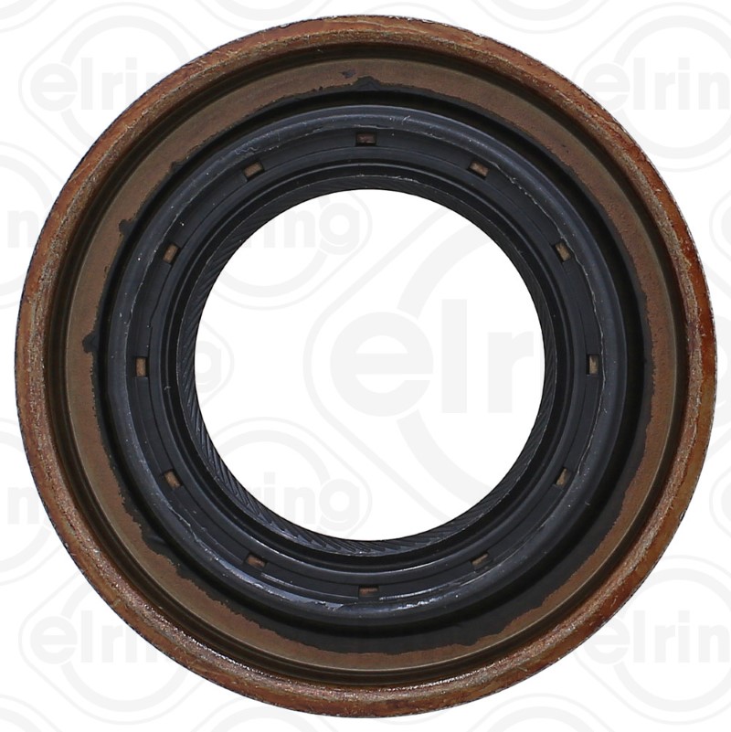 Shaft Seal, differential