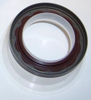 Shaft Seal, crankshaft (071.550)