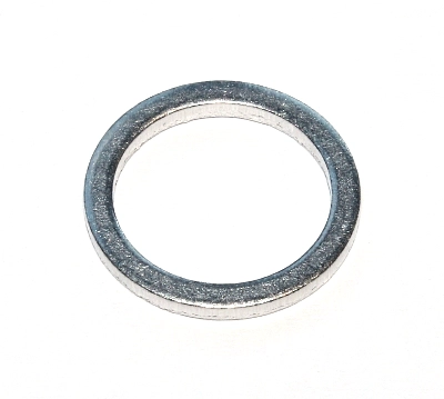Seal Ring (239.003)