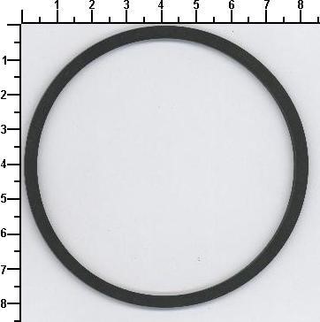 Seal Ring (730.904)
