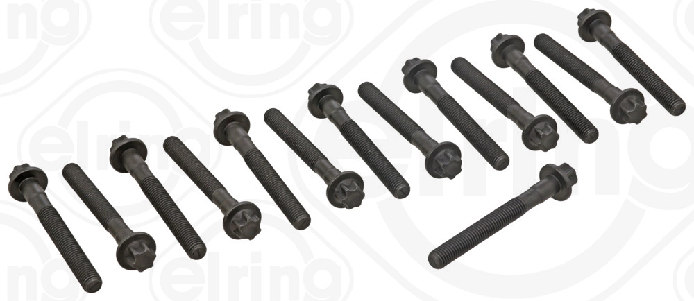 Cylinder Head Bolt Set (760.110)