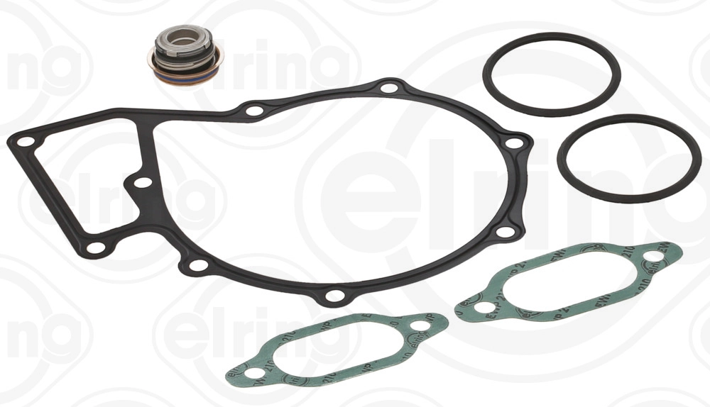 Gasket Set, water pump (469.701)