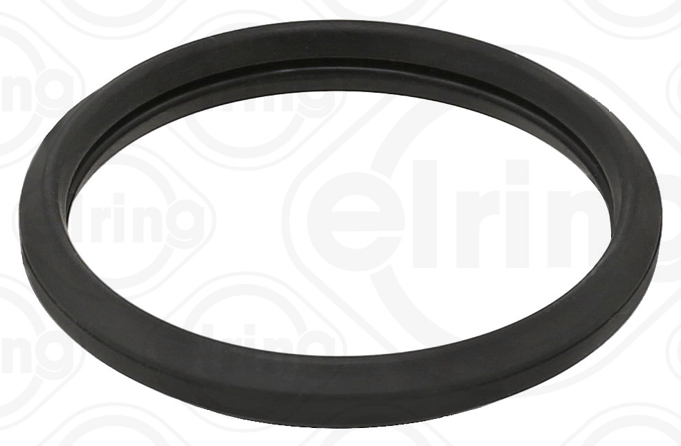 Seal Ring (308.040)