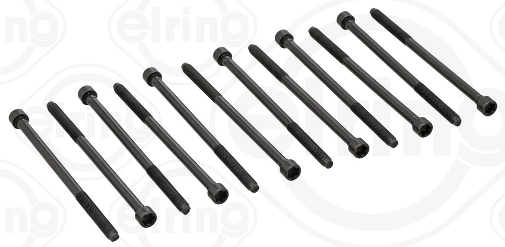 Cylinder Head Bolt Set (497.410)
