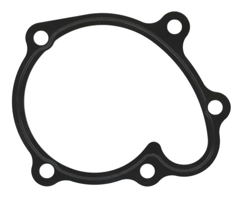 Gasket, water pump (238.460)
