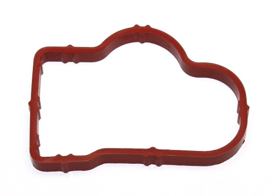 Gasket, intake manifold (051.090)