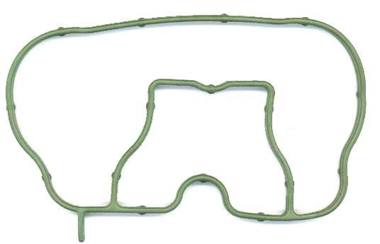 Gasket, intake manifold (025.250)