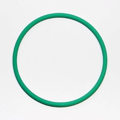 Gasket, intake manifold housing (152.830)