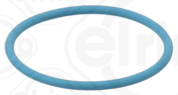 Seal Ring (174.270)