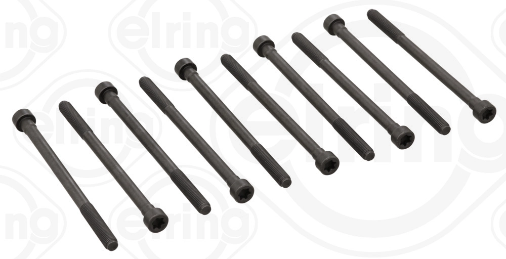 Cylinder Head Bolt Set (728.130)