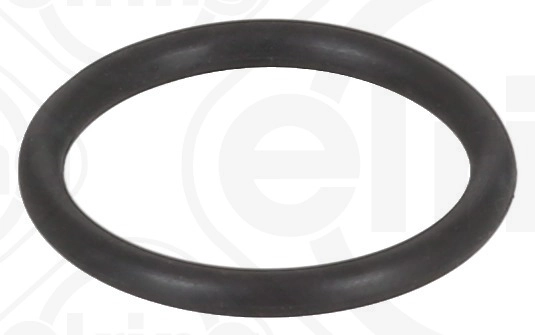 Seal Ring (003.970)