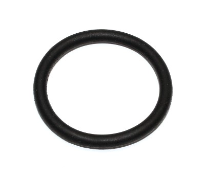 Seal Ring, oil drain plug (163.480)