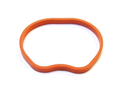 Gasket, intake manifold (025.260)