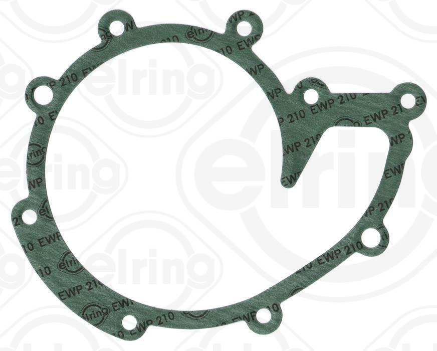 Gasket, water pump (138.451)