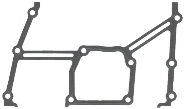 Gasket, timing case (923.002)