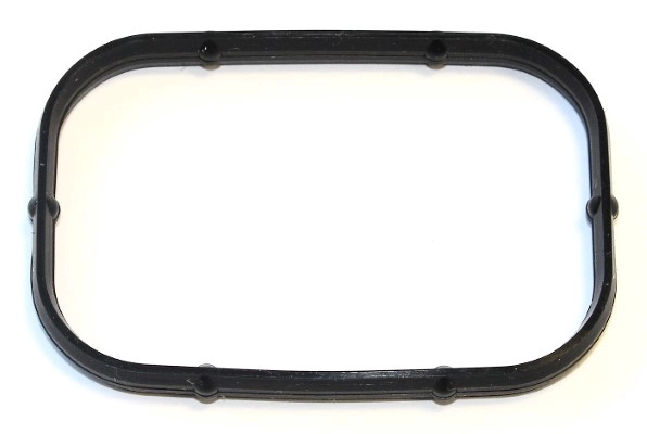 Gasket, intake manifold housing (524.020)