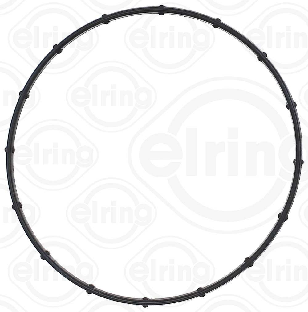 Seal Ring