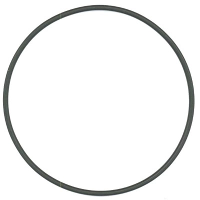 Seal Ring (780.103)