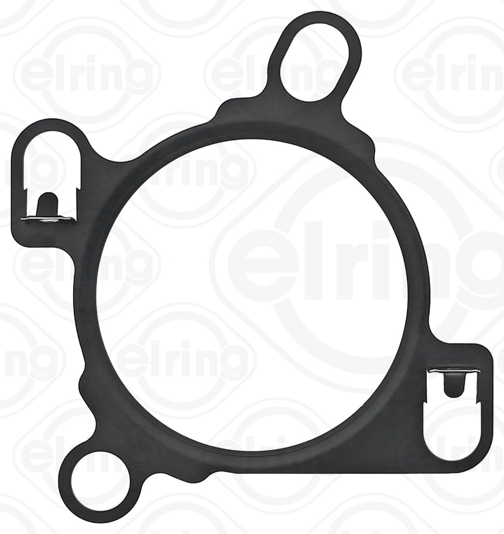 Gasket, EGR valve