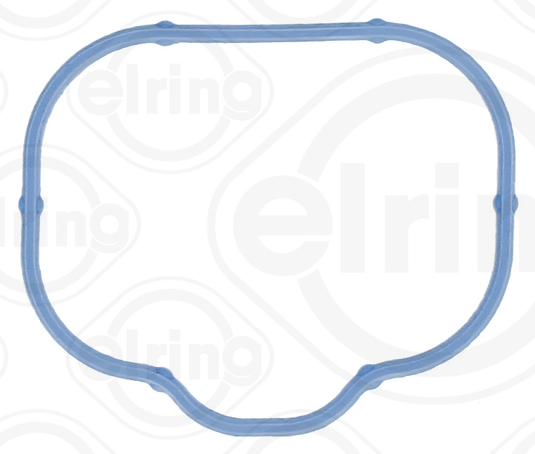 Gasket, intake manifold (524.330)