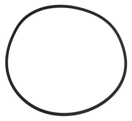 Seal Ring (743.401)