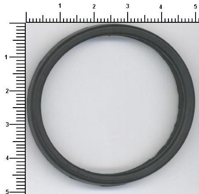 Seal Ring (025.870)