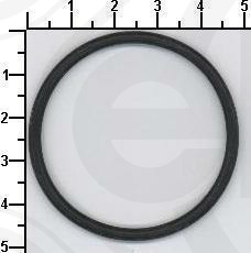 Seal Ring (621.640)