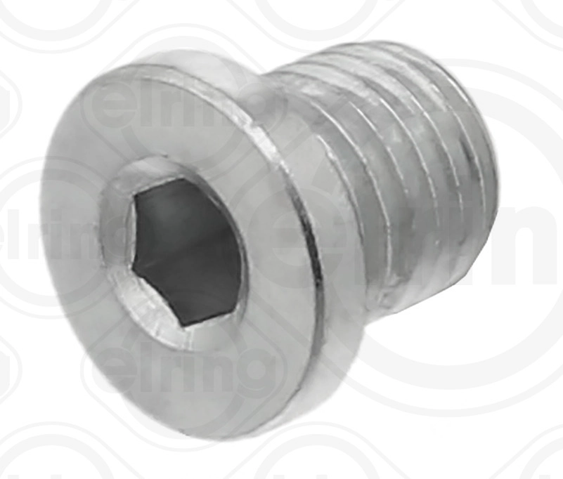 Screw Plug, oil sump (587.190)