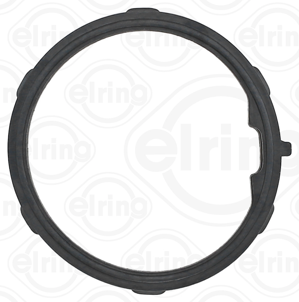Seal Ring