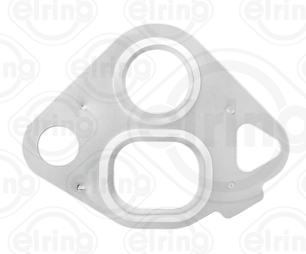 Gasket, EGR valve (016.920)