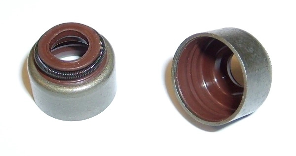 Seal Ring, valve stem (010.300)
