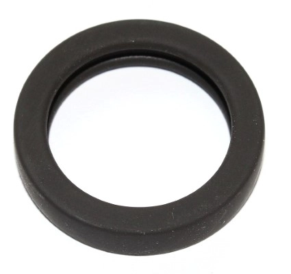 Seal Ring (599.247)