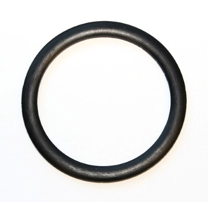 Seal Ring (721.867)
