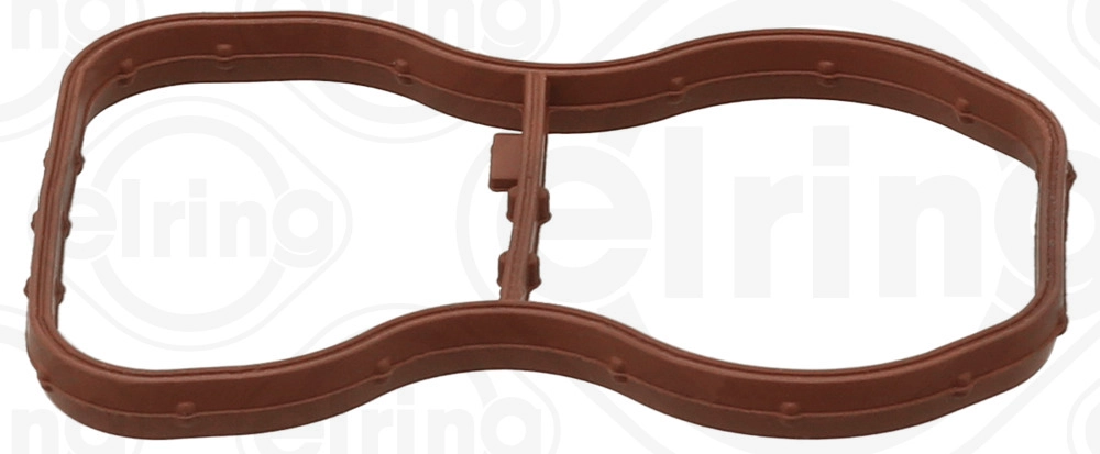 Gasket, intake manifold (584.600)