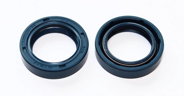 Seal Ring (075.175)