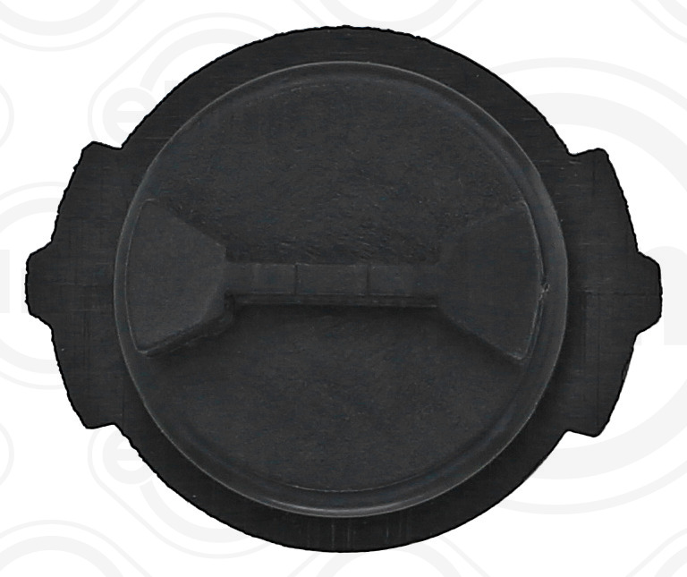 Screw Plug, transmission housing