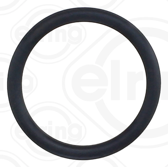 Seal Ring